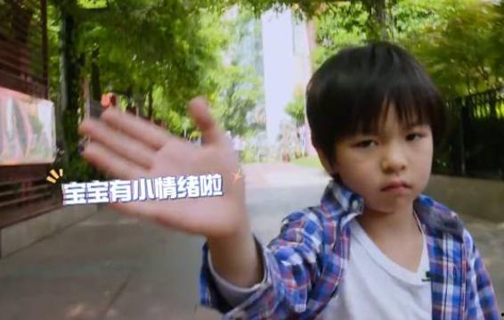 张婷儿子爆料视频,揭秘家庭背后惊人真相  第3张 张婷儿子爆料视频,揭秘家庭背后惊人真相  第3张
