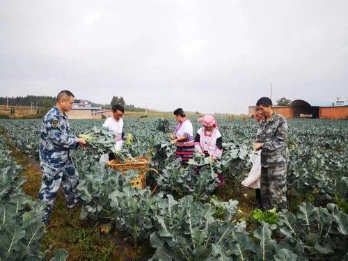 沾益天生桥最新爆料,最新爆料揭示世界奇观背后故事  第2张 沾益天生桥最新爆料,最新爆料揭示世界奇观背后故事  第2张