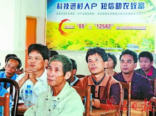 农民兄弟爆料视频播放下载,播放下载量惊人  第2张 农民兄弟爆料视频播放下载,播放下载量惊人  第2张