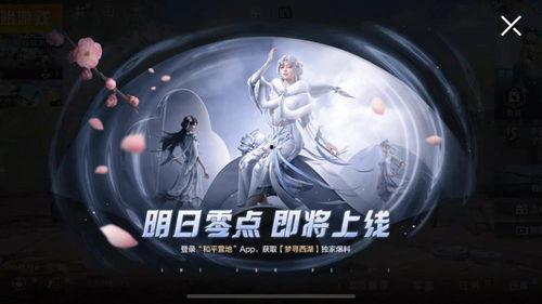 悲喜吃鸡新皮肤爆料最新,带你领略游戏时尚新潮流  第3张 悲喜吃鸡新皮肤爆料最新,带你领略游戏时尚新潮流  第3张