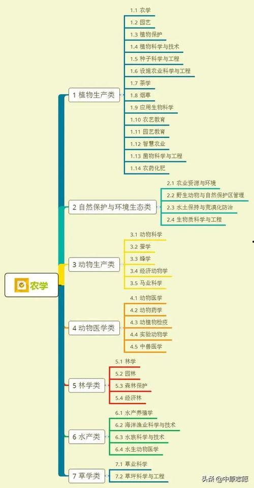 泰国华侨爆料视频大全集,揭秘异国他乡的华侨生活与挑战  第3张 泰国华侨爆料视频大全集,揭秘异国他乡的华侨生活与挑战  第3张