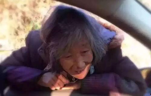 慈母在线观看,温情演绎母爱如山的故事  第3张 慈母在线观看,温情演绎母爱如山的故事  第3张