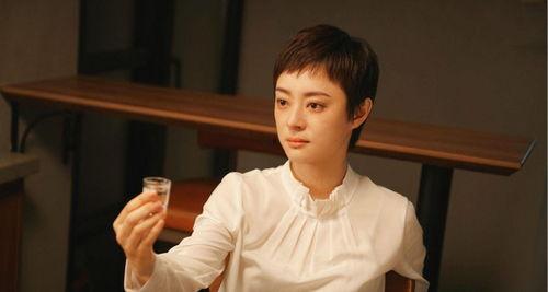 孙俪电视剧安家在线观看,孙俪演绎房产中介传奇,在线观看见证奋斗人生  第2张 孙俪电视剧安家在线观看,孙俪演绎房产中介传奇,在线观看见证奋斗人生  第2张