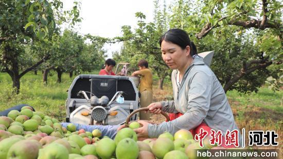 赵县秀才营最新爆料,最新爆料揭示不为人知的背后故事  第3张 赵县秀才营最新爆料,最新爆料揭示不为人知的背后故事  第3张