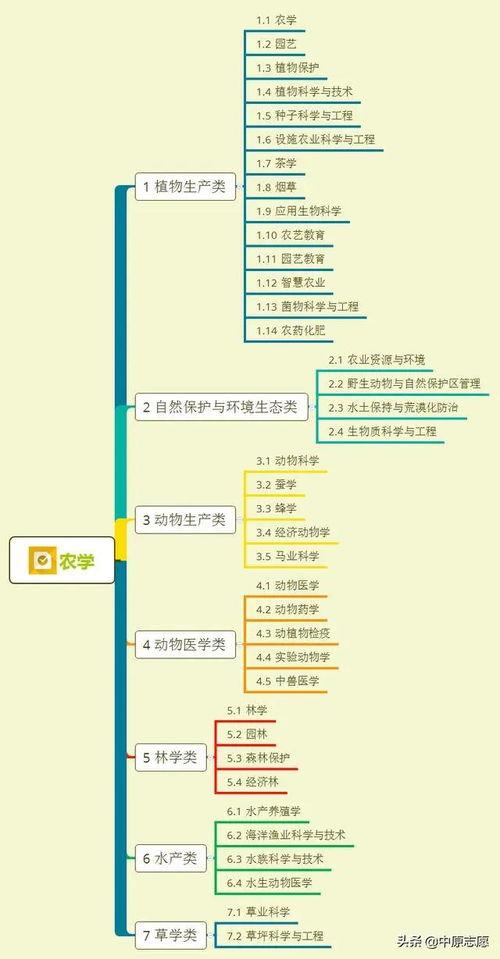 河源婚庆爆料视频大全集,视频大全集精彩瞬间回顾  第3张 河源婚庆爆料视频大全集,视频大全集精彩瞬间回顾  第3张
