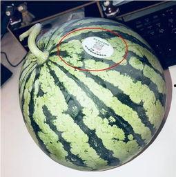 百万网红吃瓜  第2张 百万网红吃瓜  第2张