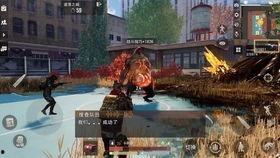代号真实最新爆料,揭秘最新爆料背后的惊人真相  第3张 代号真实最新爆料,揭秘最新爆料背后的惊人真相  第3张