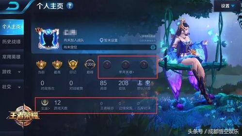 王者太华爆料视频完整版,揭秘游戏新内容与精彩瞬间  第2张 王者太华爆料视频完整版,揭秘游戏新内容与精彩瞬间  第2张