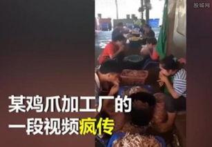 网友爆料吃鸡脚视频,吃鸡脚视频引发热议,揭秘网络直播背后的秘密  第2张 网友爆料吃鸡脚视频,吃鸡脚视频引发热议,揭秘网络直播背后的秘密  第2张