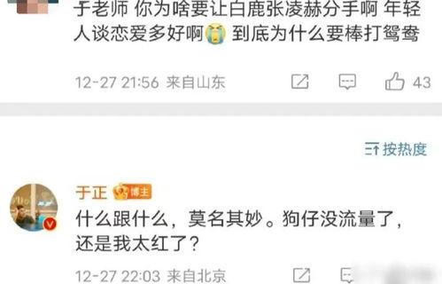 直播爆料白鹿事件视频在线观看,视频在线观看,揭秘真相瞬间