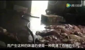 偷拍神兽吃瓜视频大全免费观看  第3张 偷拍神兽吃瓜视频大全免费观看  第3张