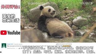 熊猫啤酒爆料是真的吗视频,真相究竟如何?  第3张 熊猫啤酒爆料是真的吗视频,真相究竟如何?  第3张