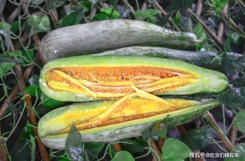 各种网红爆料在线吃瓜,在线吃瓜盛宴,揭秘娱乐圈幕后风云  第3张 各种网红爆料在线吃瓜,在线吃瓜盛宴,揭秘娱乐圈幕后风云  第3张