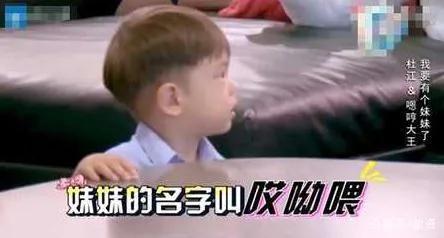 嗯哼爆料挨打视频大全下载,揭秘网络暴力背后的真相  第2张 嗯哼爆料挨打视频大全下载,揭秘网络暴力背后的真相  第2张