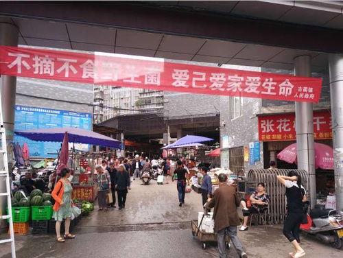 古蔺餐馆爆料视频大全集,揭秘美食背后的故事  第2张 古蔺餐馆爆料视频大全集,揭秘美食背后的故事  第2张
