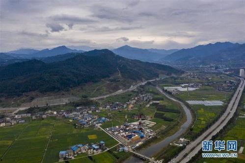 重庆新冠源头爆料最新,揭秘病毒起源之谜  第3张 重庆新冠源头爆料最新,揭秘病毒起源之谜  第3张