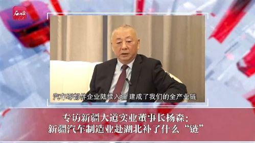 新疆最新新闻爆料视频,揭秘神秘事件背后的真相  第3张 新疆最新新闻爆料视频,揭秘神秘事件背后的真相  第3张