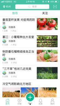 今日头条大蒜农爆料,丰收却难卖,蒜农心声引关注  第3张 今日头条大蒜农爆料,丰收却难卖,蒜农心声引关注  第3张