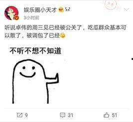 卓伟爆料打码视频,神秘打码视频引发热议,真相究竟如何?  第3张 卓伟爆料打码视频,神秘打码视频引发热议,真相究竟如何?  第3张