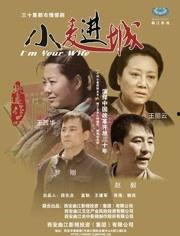 小麦进城电视剧全集在线观看,农村女孩的奋斗与蜕变之路  第2张 小麦进城电视剧全集在线观看,农村女孩的奋斗与蜕变之路  第2张