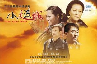 小麦进城电视剧全集在线观看,农村女孩的奋斗与蜕变之路  第3张 小麦进城电视剧全集在线观看,农村女孩的奋斗与蜕变之路  第3张