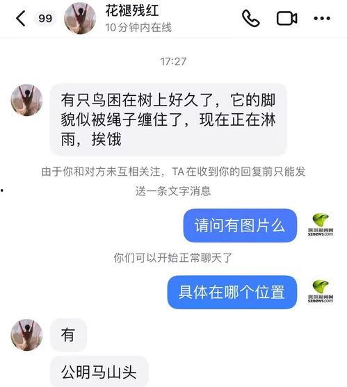 陈女士爆料最新新闻消息,最新新闻事件深度解析  第3张 陈女士爆料最新新闻消息,最新新闻事件深度解析  第3张