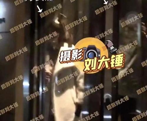 布希曼爆料视频,揭秘视频背后的惊人真相  第3张 布希曼爆料视频,揭秘视频背后的惊人真相  第3张